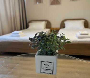Ban Mai Apartamento | OP Open View เมืองทอง T12 impact muang thong thani