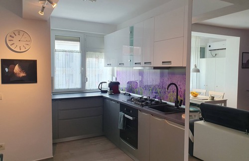 Old City Apartamento | Opera Lavendel. Cozy 1-bedroom with AC & King-Size bed in awesome Timișoara