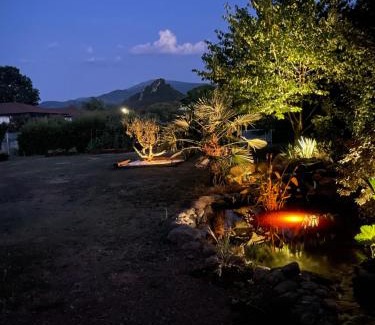 Foix Casa | Ophidia