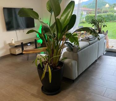 Foix Casa | Ophidia