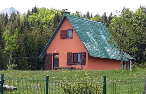 Razvrsje Casa | Orange House in nature