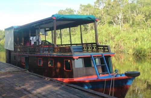 Pangkalan Bun Alquiler De Eote | Orangutan Houseboat Park Tanjung Puting