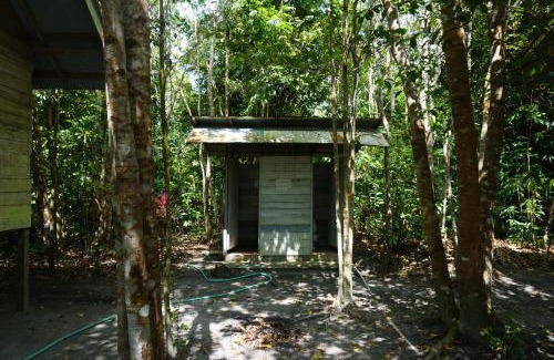 Kalimantan Cabina | Orangutan & Restoration Camp