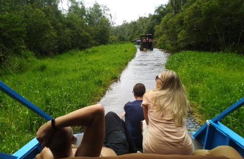 Kumai Alquiler De Eote | orangutan trip tanjung puting