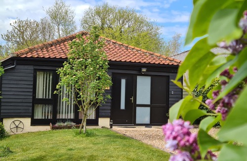 Norwich Casa | Orchard Barn, un escape del sur de Norfolk, perfecto para ti y tu perro.
