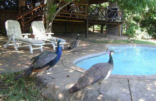 Komatipoort Apartamento | Orchards Farm Cottages