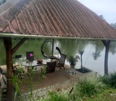 Pacific Harbour Cama Y Desayuno | Orchid Island B&B on the River with Pool & Jetty