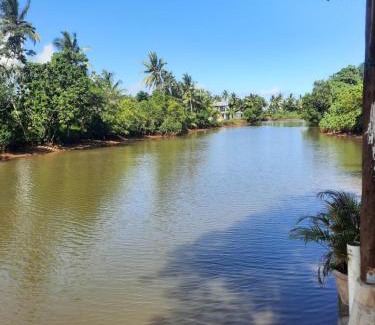Pacific Harbour Casa | Orchid Island one bedroom Bure