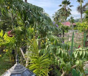 Anse La Mouche Casa | Orchid Sunset Guest House
