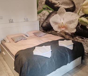 Harkany Apartamento | Orchidea apartman