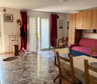Ex Campo d'Aviazione Casa | Orchidea