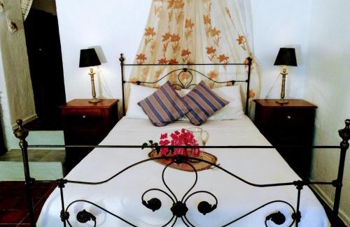 Lagoudi Zia Apartamento | Orea Ellas Kos - Apartments & Bistro-Café