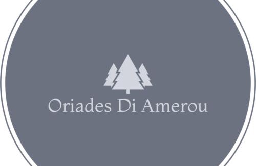 Metsovo Apartamento | Oriades di Amerou