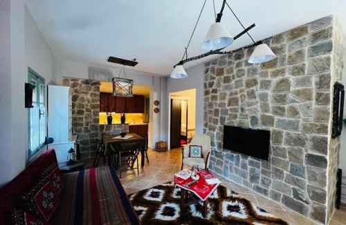 Metsovo Apartamento | Oriades di Amerou