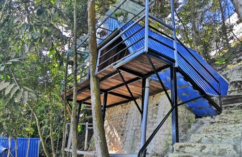 Ringlet Chalet De Esquí | Orkid Chalet