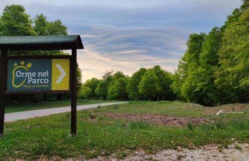 Zagarise Otro | Orme nel parco - Villaggio Grechi