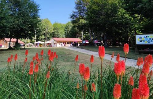Zagarise Otro | Orme nel parco - Villaggio Grechi