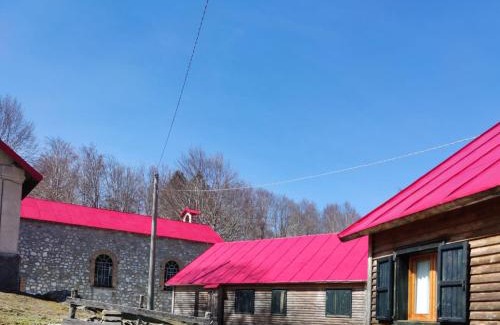 Zagarise Otro | Orme nel parco - Villaggio Grechi