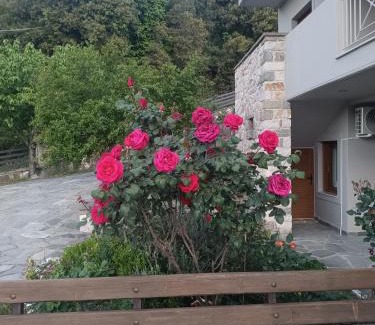 North Tzoumerka Casa | orminia house upper level