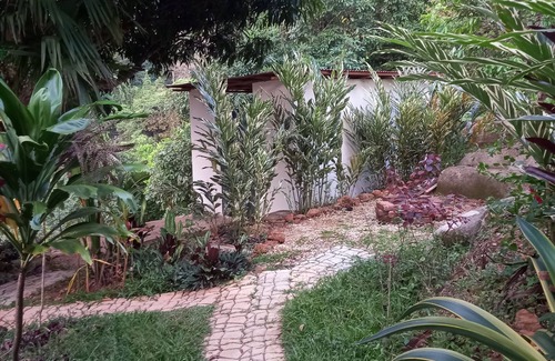 Minca Apartamento | cabaña tukamping oropéndula