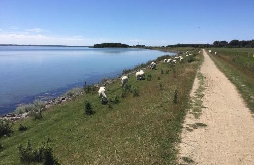 Orth Apartamento | Orth P2 - Am Meer