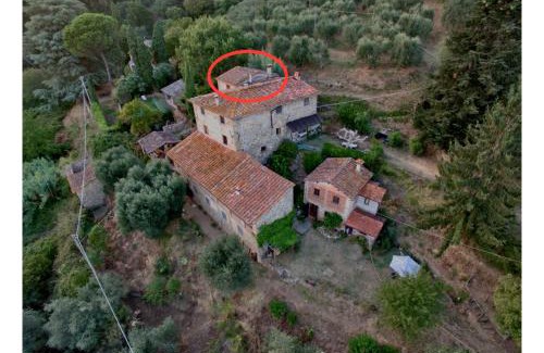 Petrognano Apartamento | Orto dei Bruchi