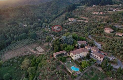 Petrognano Apartamento | Orto dei Bruchi