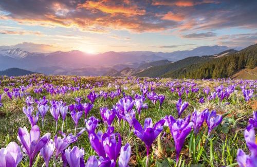 Koscielisko Apartamento | Osada Kościelisko - Tatry na Wyciągnięcie Ręki
