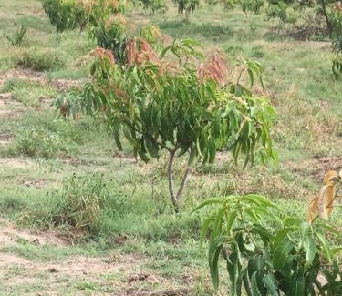 Welikanda Casa | OSHKI Farm and Holiday Resort