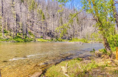 Vida Apartamento | Osprey Nest Cabin