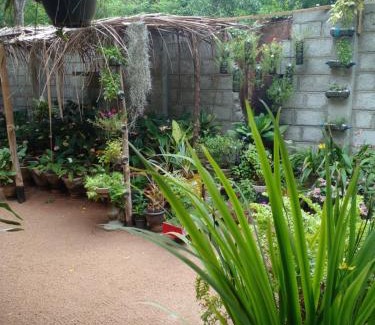 Anuradhapura Casa | Ossa home stay