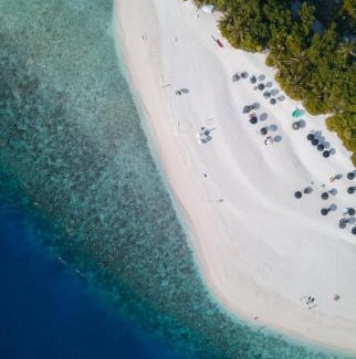 Ukulhas Casa | Ostrov Palm