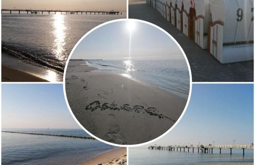 Gelbensande Apartamento | Ostsee-Wiesenpieper (Graal-Müritz)