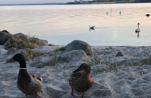 Gronenberg Casa | Ostseecamp Lübecker Bucht "BeachBox" "Das Einzelstück für 2"