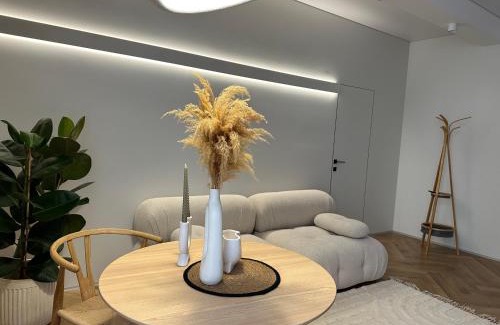 Kosuv Stary Apartamento | Other Apartments