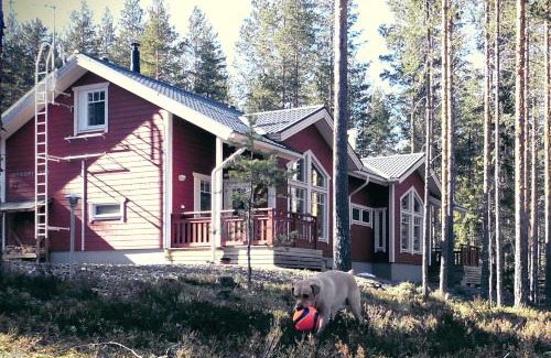 Koli National Park Apartamento | OtsoPirtti: Maria and Otso Apartments