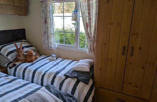 Llanfair Caereinion Otro | Otter view
