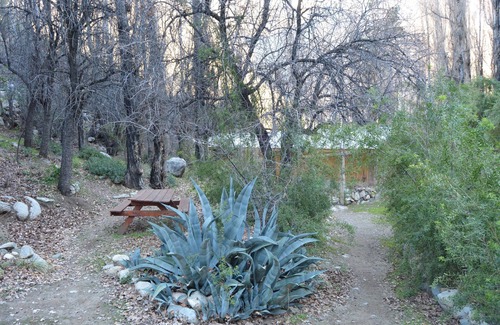 Paiguano Cabina | Nuestra cabaña en el valle de Elqui