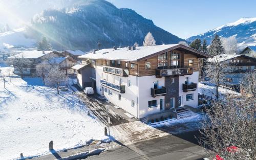 Hollersbach im Pinzgau Apartamento | Our's Living - modern Apartments with Sauna near Kitzbüheler Alpen ski lift