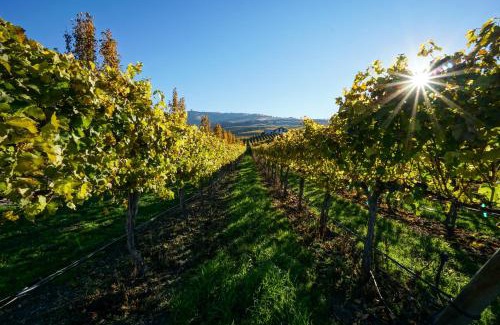 Chelan Casa | Our View Point