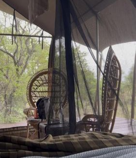 Hammanskraal Complejo | Out in Africa Wildlife Lodge