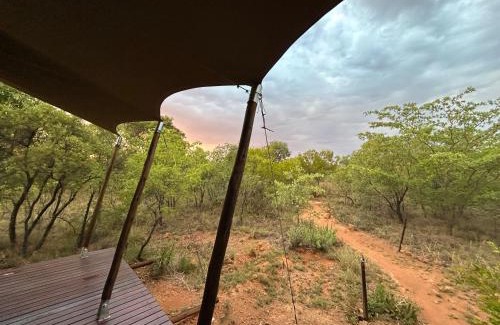 Hammanskraal Complejo | Out in Africa Wildlife Lodge