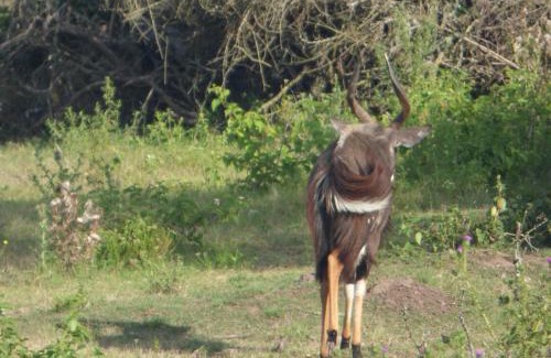 Great Kei Cabina | Outspan Safaris