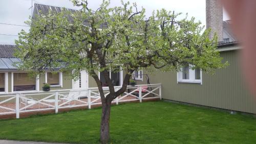 Kuressaare Cama Y Desayuno | Ovelia B&B