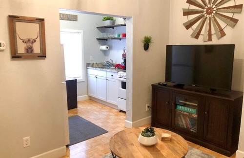 Downtown Dunedin Apartamento | Con vistas al centro de Dunedin! 2 habitaciones 1 baño!