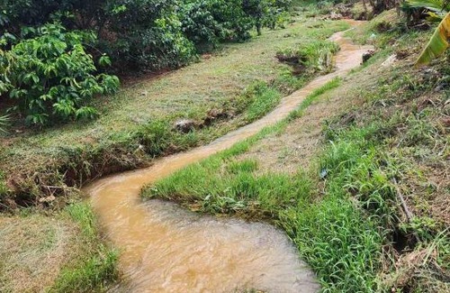 Da Lat Casa | OVi coffee farmstay Đà Lạt