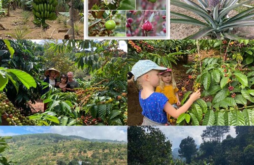 Da Lat Casa | OVi coffee farmstay Đà Lạt