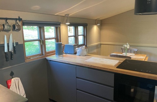 Graigfechan Cabaña | Rural-Baño Privado