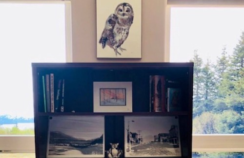 Homer Casa | OWL'S OVERLOOK FAMILY SIZED HOME 10 MINUTES FROM DOWN TOWN HOMER