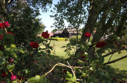Woodbridge Casa | Owls Nest - Paz y tranquilidad cerca de Woodbridge y Framlingham en la zona rural de Suffolk